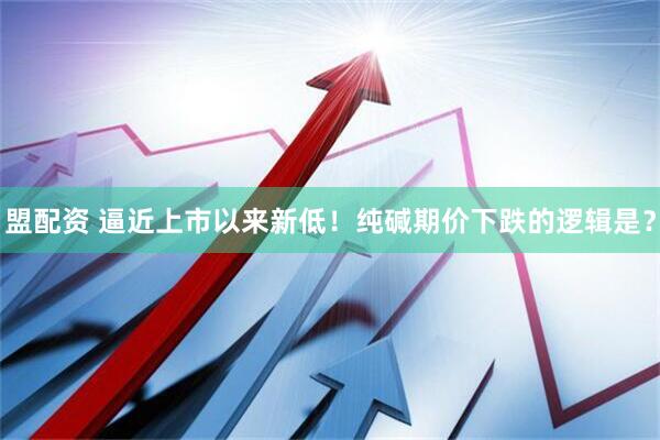 盟配资 逼近上市以来新低！纯碱期价下跌的逻辑是？
