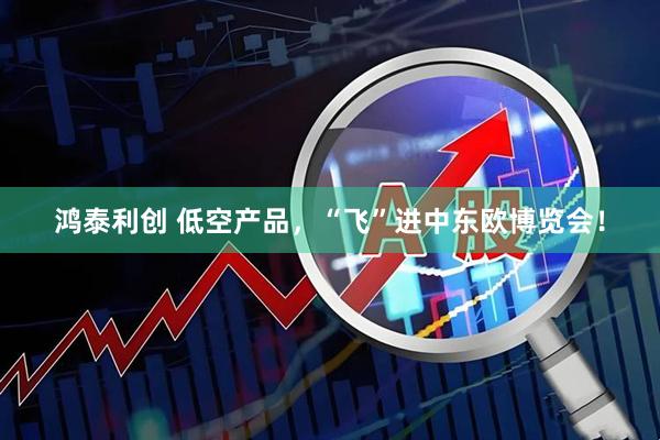 鸿泰利创 低空产品，“飞”进中东欧博览会！