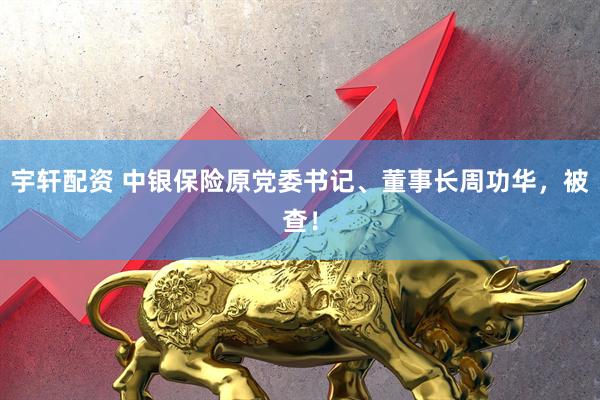 宇轩配资 中银保险原党委书记、董事长周功华，被查！