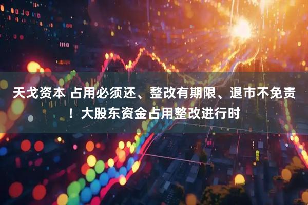 天戈资本 占用必须还、整改有期限、退市不免责！大股东资金占用整改进行时
