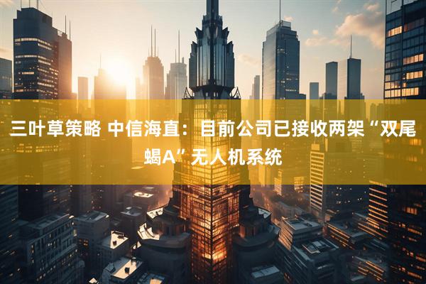 三叶草策略 中信海直：目前公司已接收两架“双尾蝎A”无人机系统