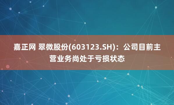 嘉正网 翠微股份(603123.SH)：公司目前主营业务尚处于亏损状态