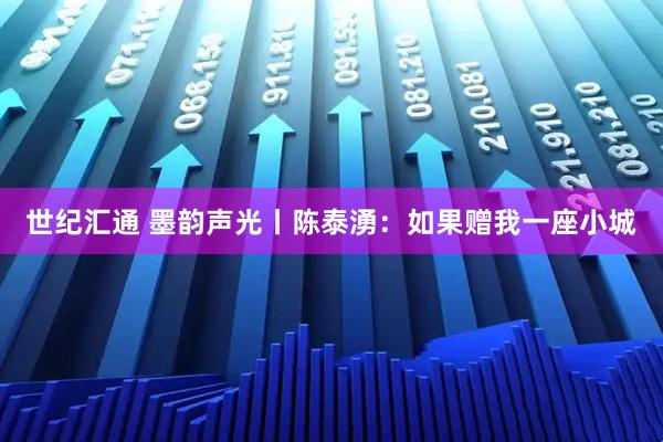 世纪汇通 墨韵声光丨陈泰湧：如果赠我一座小城