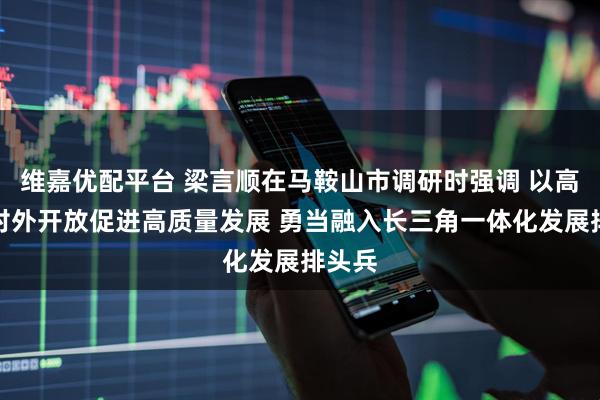 维嘉优配平台 梁言顺在马鞍山市调研时强调 以高水平对外开放促进高质量发展 勇当融入长三角一体化发展排头兵