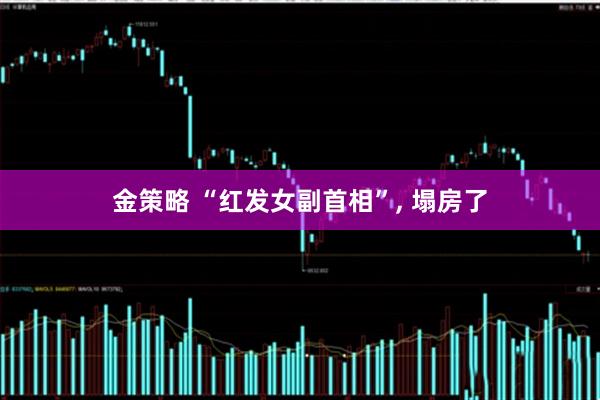金策略 “红发女副首相”, 塌房了
