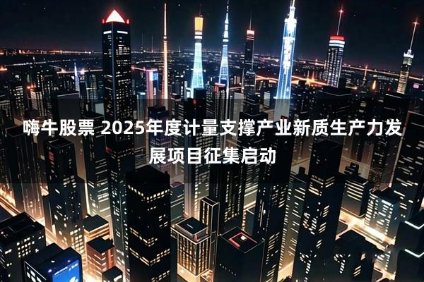 嗨牛股票 2025年度计量支撑产业新质生产力发展项目征集启动