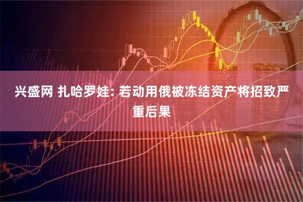兴盛网 扎哈罗娃: 若动用俄被冻结资产将招致严重后果
