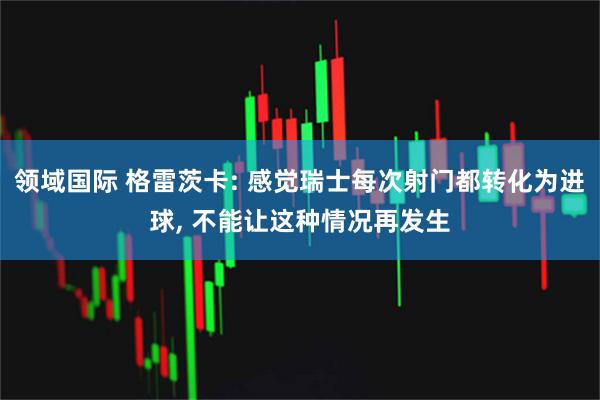 领域国际 格雷茨卡: 感觉瑞士每次射门都转化为进球, 不能让这种情况再发生